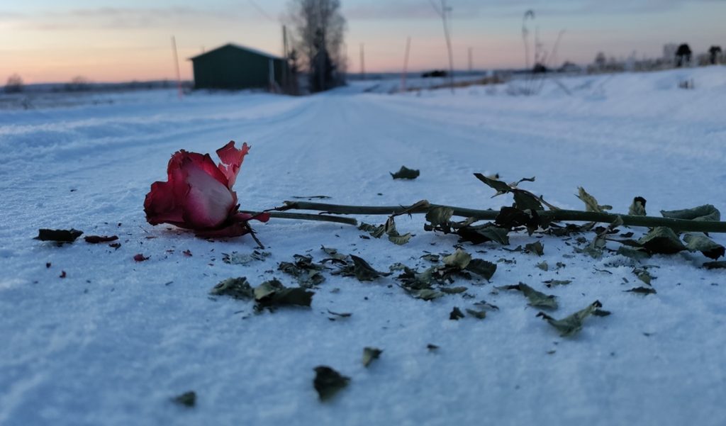 Huhut kuolemastani ovat liioiteltuja. SEO:n kuolinuutiset ovat selvästi liioiteltuja.
