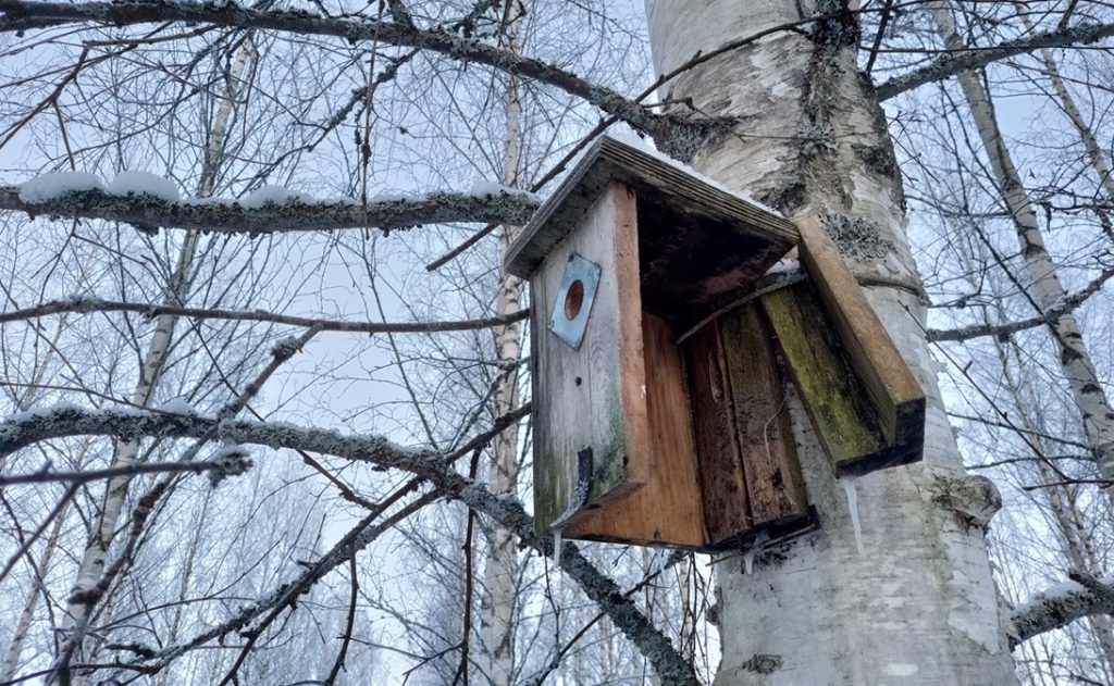 Toimiva SEO vaatii enemmän panostusta tekoälyaikana.