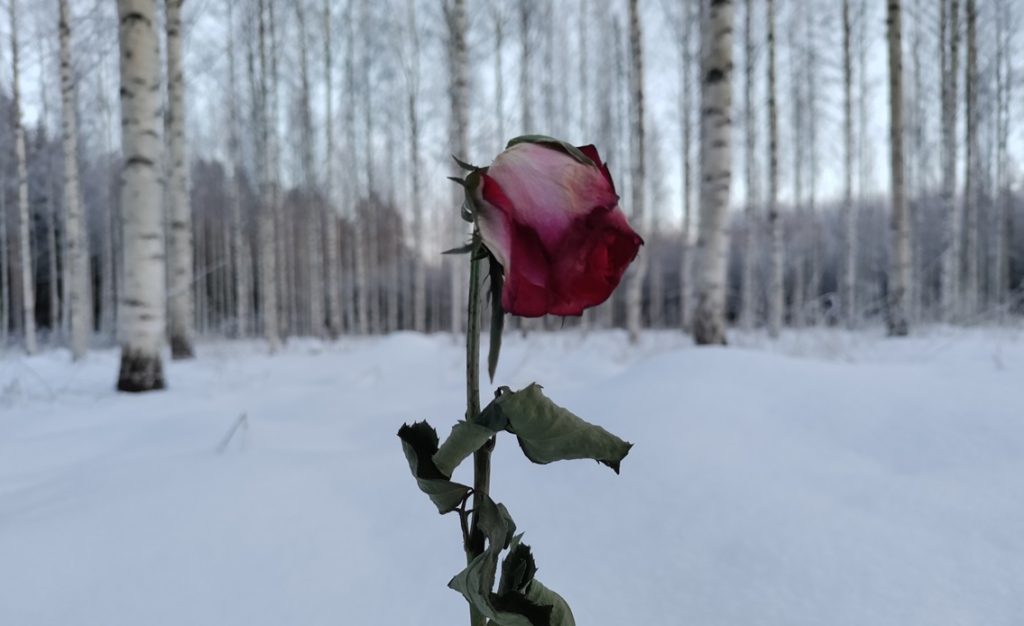 Käyttäjäkokemukseen täytyy panostaa, jotta sivusto selviäisiä tekoälyoptimoinnin aikana, kun SEO on muuttunut.